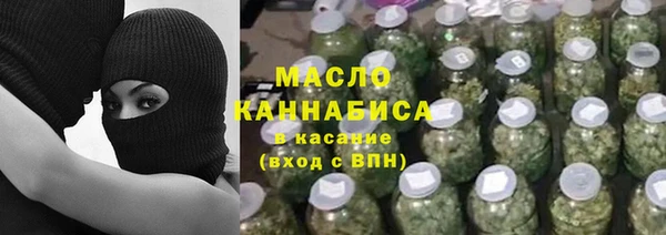 мдпв Бородино