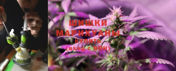 мдпв Бородино