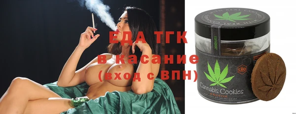 мдпв Бородино