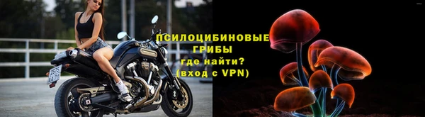 ГАЛЛЮЦИНОГЕННЫЕ ГРИБЫ Богородск