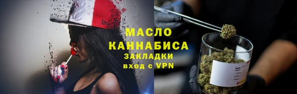 мдпв Бородино