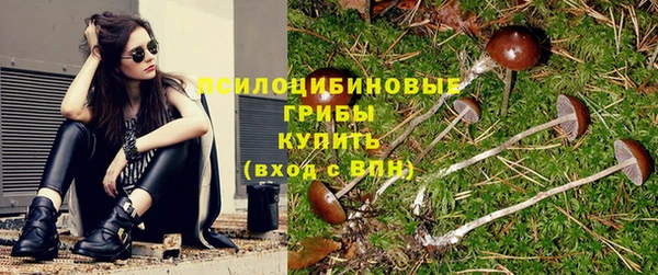 ECSTASY Бугульма